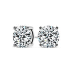 Chic White Gold Tera Earrings