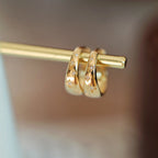 Luxurious Gold and Silver Earrings
